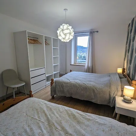 Maison Renovee Pres Des Hautes Vosges, Ideale Pour Activites Nature - Fr-1-589-696 Daire *