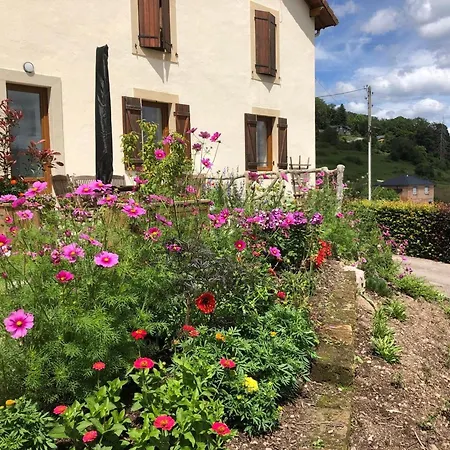 Maison Renovee Pres Des Hautes Vosges, Ideale Pour Activites Nature - Fr-1-589-696 Apartmán