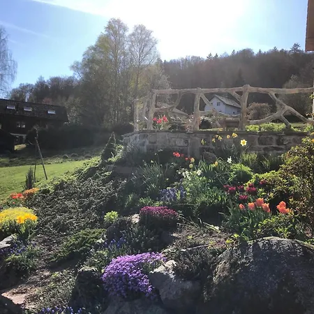 Maison Renovee Pres Des Hautes Vosges, Ideale Pour Activites Nature - Fr-1-589-696 Saint-Nabord