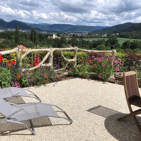 Maison Renovee Pres Des Hautes Vosges, Ideale Pour Activites Nature - Fr-1-589-696 * Saint-Nabord