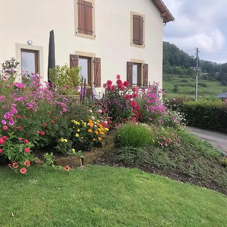 Maison Renovee Pres Des Hautes Vosges, Ideale Pour Activites Nature - Fr-1-589-696 Daire *