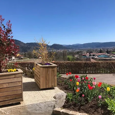Maison Renovee Pres Des Hautes Vosges, Ideale Pour Activites Nature - Fr-1-589-696 Daire