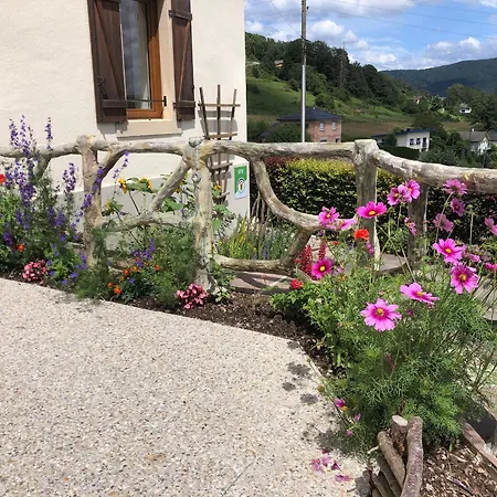 Maison Rénovée Près Des Hautes Vosges, Idéale Pour Activités Nature - Fr-1-589-696 Appartamento Saint-Nabord