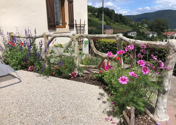 Maison Renovee Pres Des Hautes Vosges, Ideale Pour Activites Nature - Fr-1-589-696 *