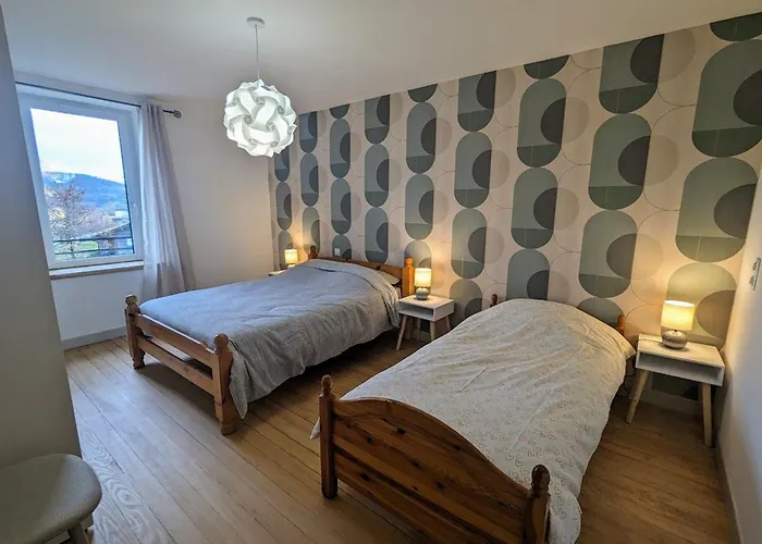 Maison Renovee Pres Des Hautes Vosges, Ideale Pour Activites Nature - Fr-1-589-696 * Saint-Nabord