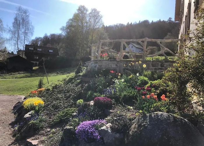 Maison Renovee Pres Des Hautes Vosges, Ideale Pour Activites Nature - Fr-1-589-696 Saint-Nabord