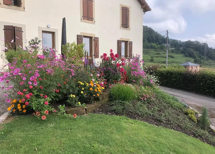 Maison Renovee Pres Des Hautes Vosges, Ideale Pour Activites Nature - Fr-1-589-696 *