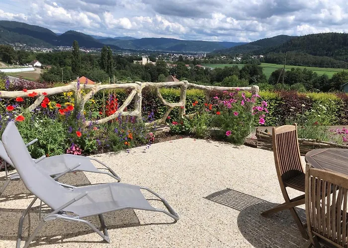 Maison Renovee Pres Des Hautes Vosges, Ideale Pour Activites Nature - Fr-1-589-696 * Saint-Nabord